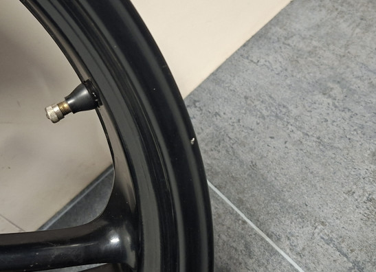 Voorvelg BMW R 1100 S