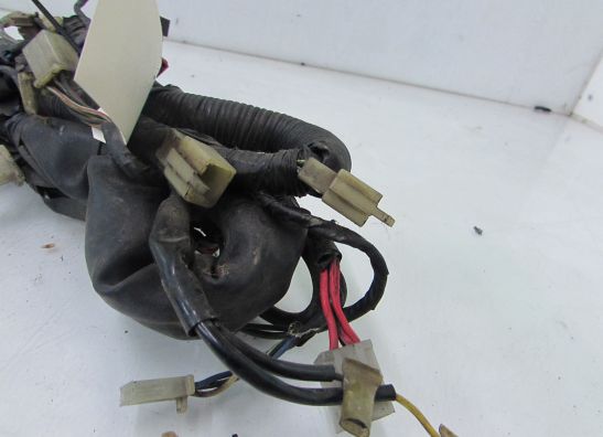 Kabelboom Honda VT 500