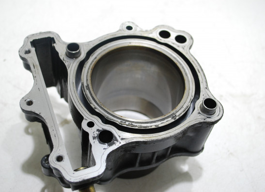 Cilinderblok Suzuki SV 650