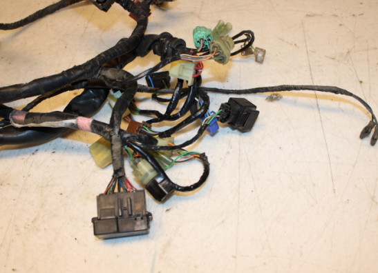 Kabelboom Honda CBF 500