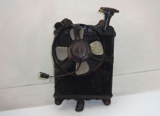 Kuhler Honda Goldwing GL