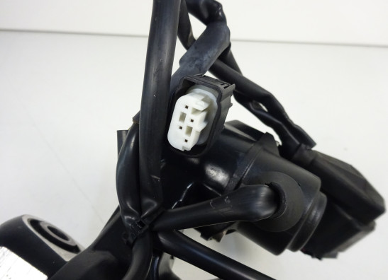 Rear cushion BMW K 1200 R 