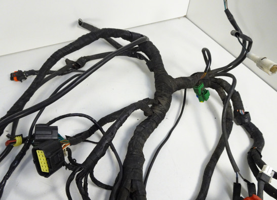 Wire Harness Aprilia Dorsoduro 750
