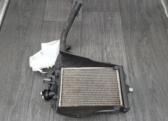 Radiator BMW R 1250 GS
