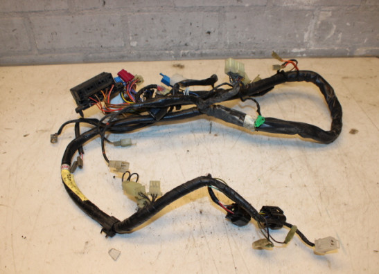 Kabelboom Yamaha FAZER 600