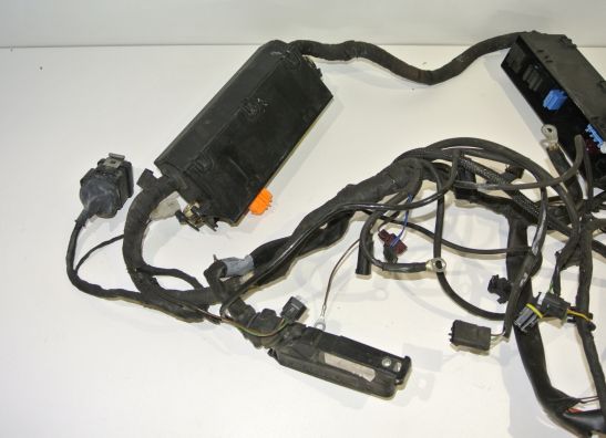 Kabelbaum BMW R 1100 S