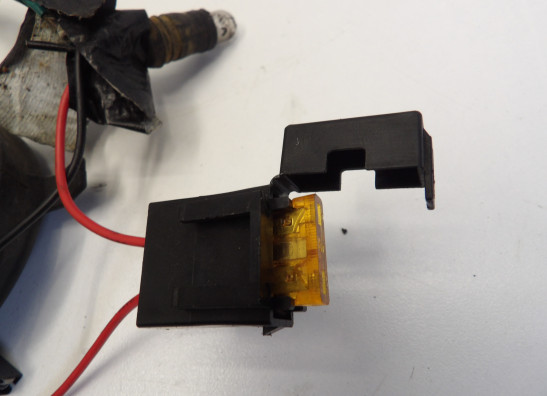 Wire harness front Honda CBF 1000