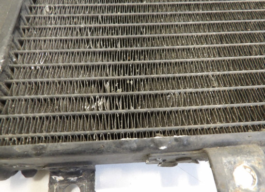 Radiateur Kawasaki Z 750