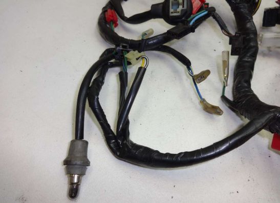Wire Harness Honda CBR 1000 F
