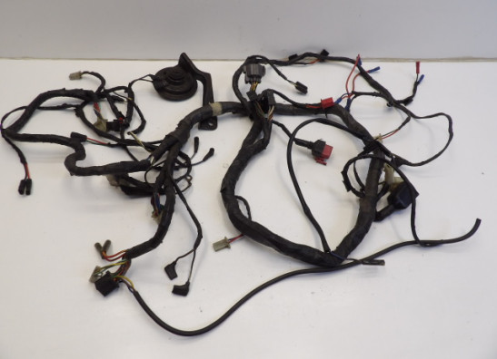 Wire Harness Kawasaki ZZR 1100