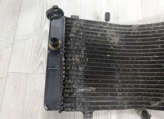 Radiator Suzuki GSX R 750