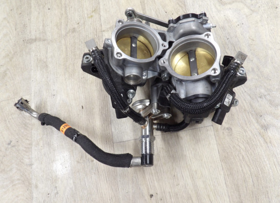 Einspritzanlage Harley Davidson Pan America