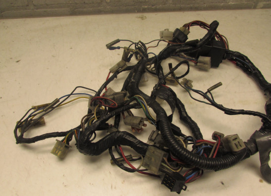 Wire Harness Yamaha V max