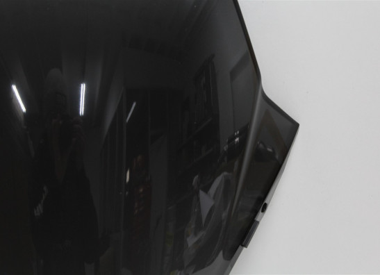 Windscherm Honda NSS300 Forza