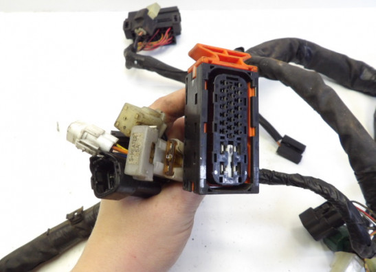 Kabelboom Suzuki Burgman 650