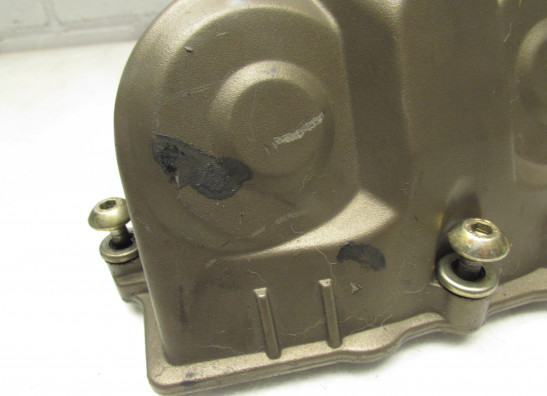 Kleppendeksel Aprilia RSV 1000