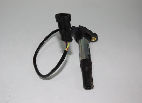 Bobine Moto Guzzi V 100 Mandello