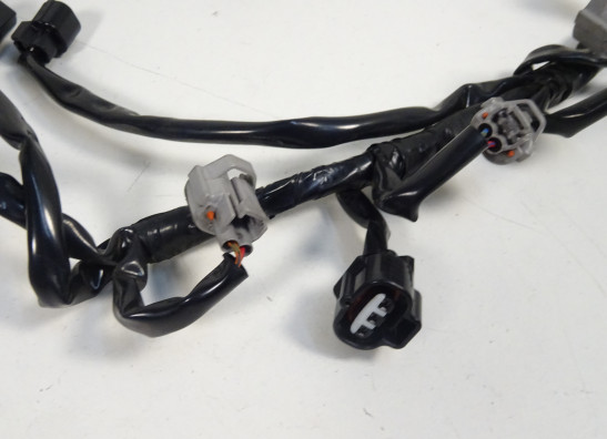 Gasklephuis Yamaha FZ1