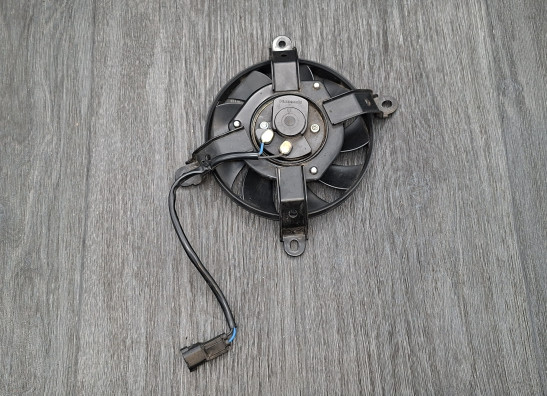 Lufter CFMoto 650 MT