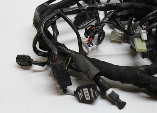 Wire Harness Ducati Multistrada 1200