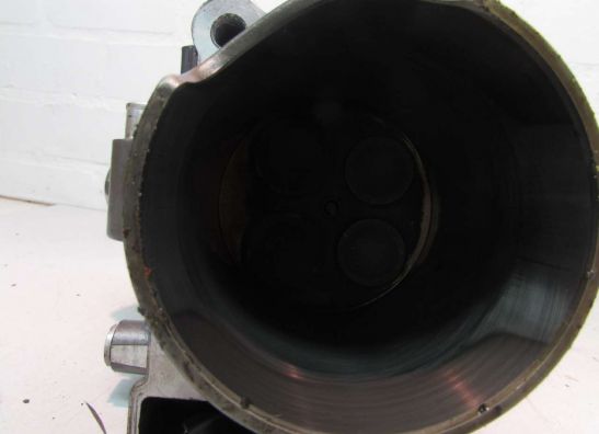 Cilinderblok KTM 990 SM + SMT