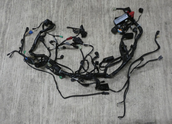 Kabelboom Honda CB 1000 R 2018-2021