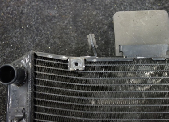 Radiateur Suzuki DL 650 V STROM