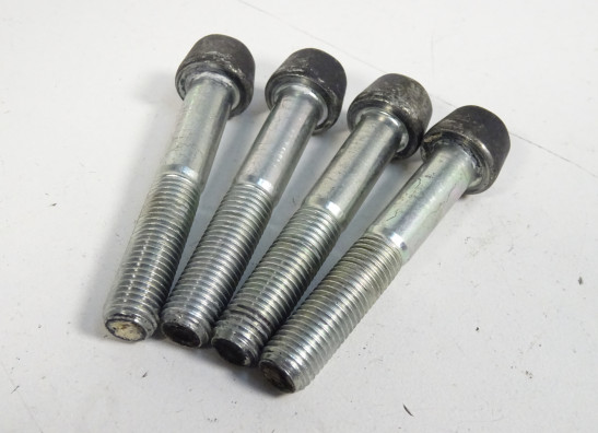 Remklauwen Ducati monster 1100