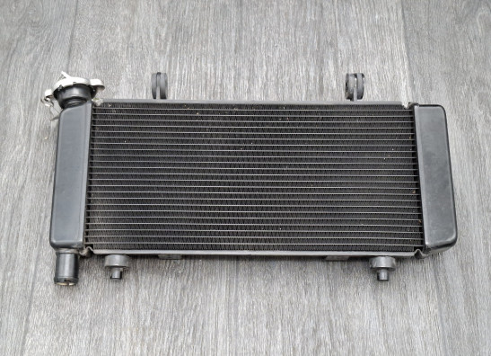 Radiateur CFMoto 650 MT
