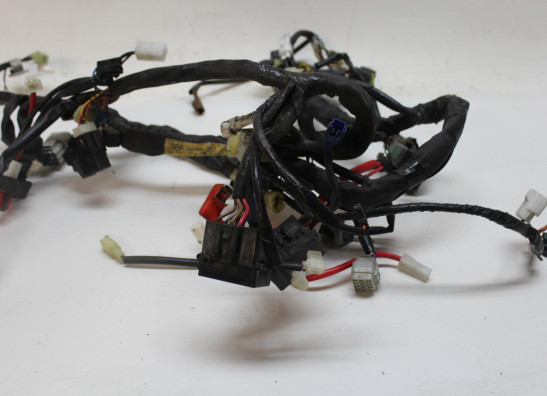 Wire Harness Yamaha FJR 1300