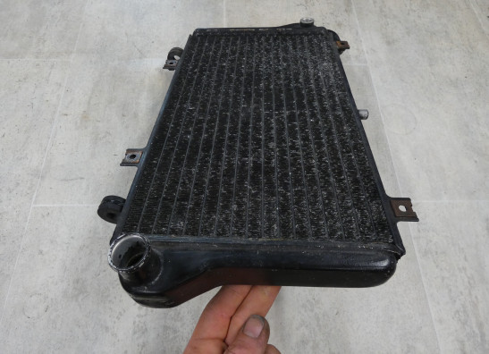 Kuhler Kawasaki ZXR 750