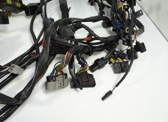 Wire Harness Triumph Sprint ST 1050
