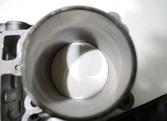 Zylinder Suzuki SV 1000