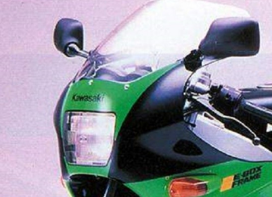 Kuipruit Kawasaki KR-1S