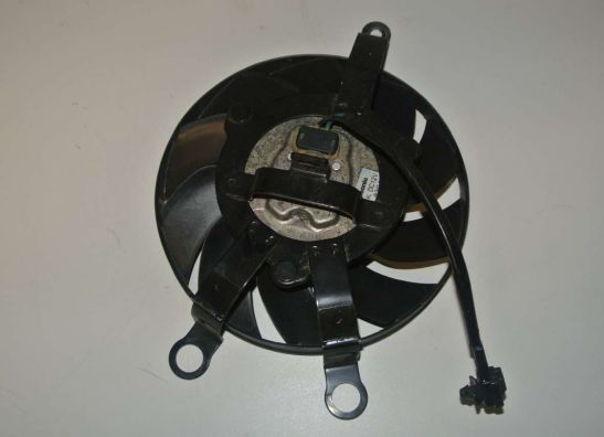 Kuhler Teile Suzuki GSX F 650