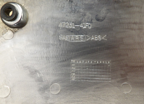 Engine cover Suzuki VL 800