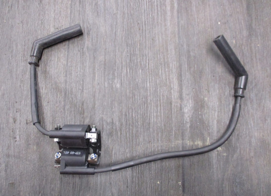 Bobine Yamaha XV 950 R