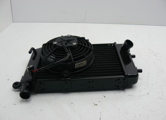 Radiateur Aprilia Falco