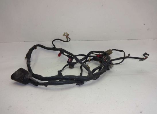 Wire Harness Honda VFR 750