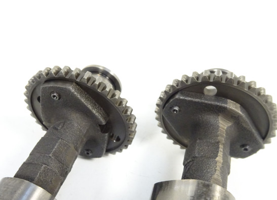 Nokkenas Triumph Tiger 1050