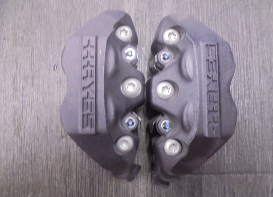 Remklauwen BMW R 1250 R