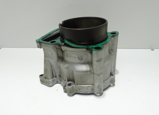 Cilinderblok BMW F 650 CS Scarver