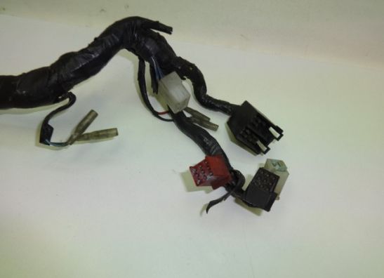 Kabelbaum Honda CBR 1100 XX