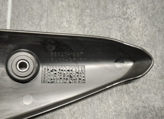 Uitlaat Kawasaki Z 900