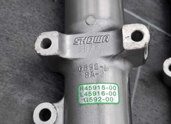 Voorpoten Harley Davidson FLSTF Fat Boy Lo