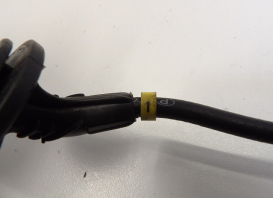 Bobine Triumph Trophy 900