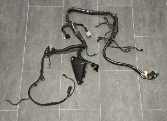 Kabelboom Harley Davidson FLHR Road King