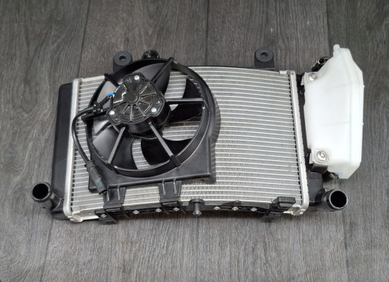 Radiateur BMW F 900 R