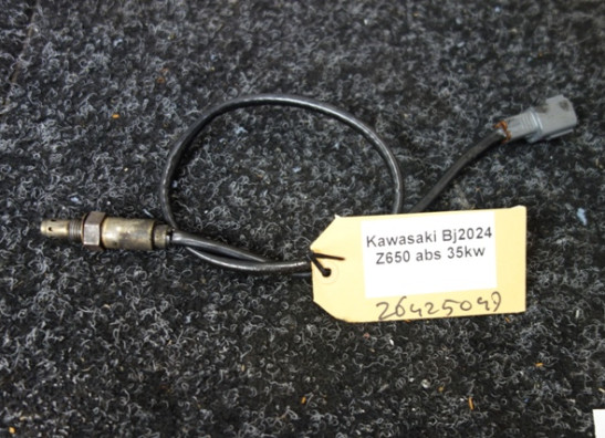 Lambdasonde Kawasaki Z 650