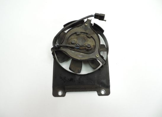 Fan Yamaha TDM